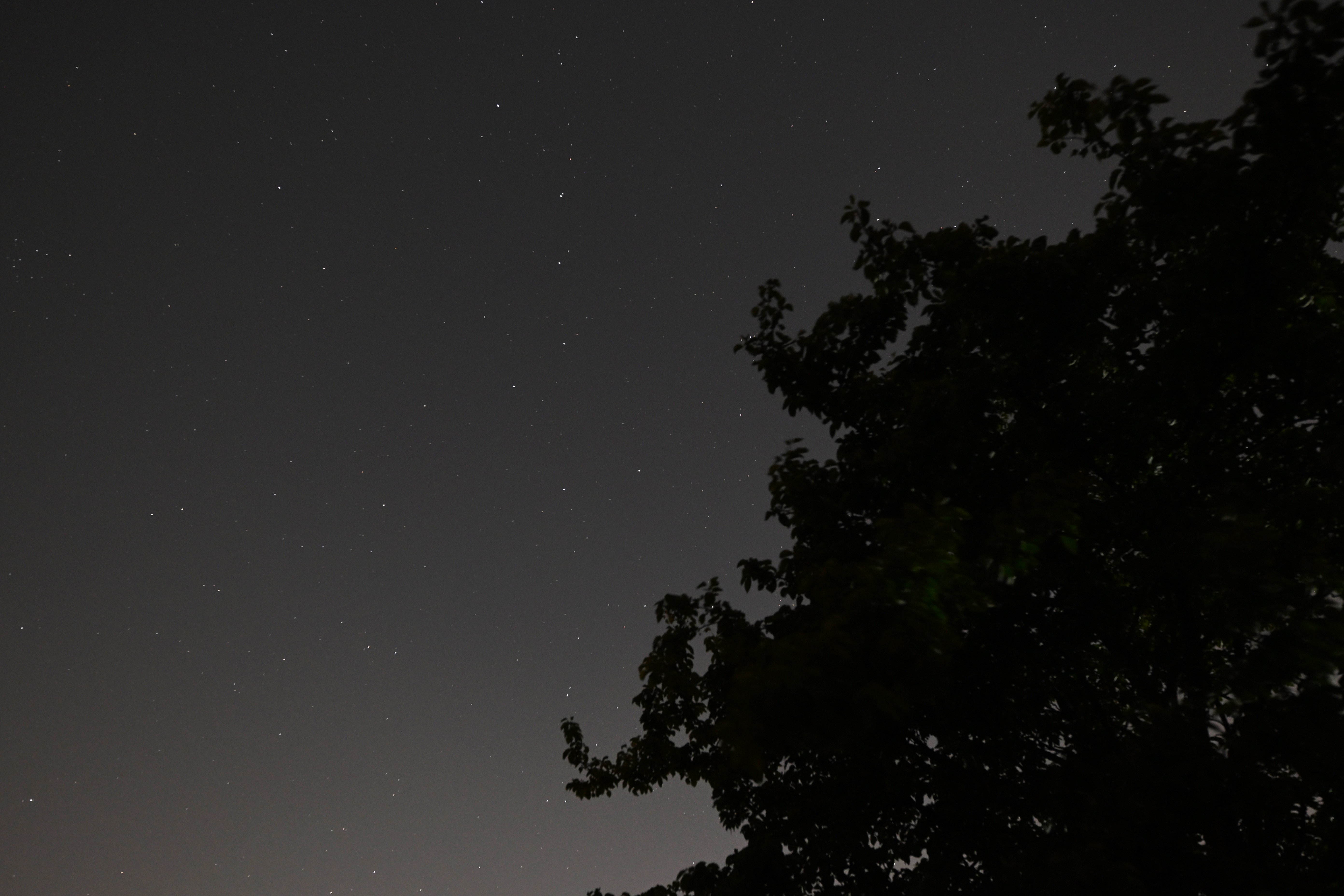 Ursa Major captured on the Nikon Z50 II. 