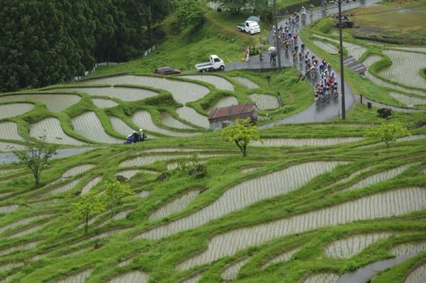 Riders passed famous rice terraces