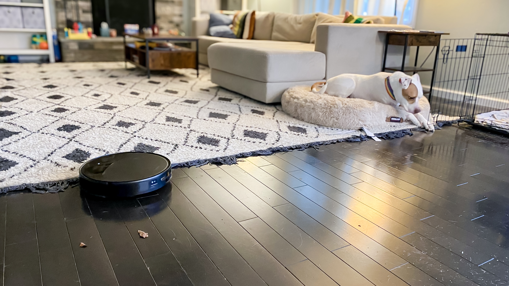 Roborock Saros 20 robot vacuum in an apartment