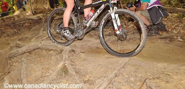Tree roots offer a technical component