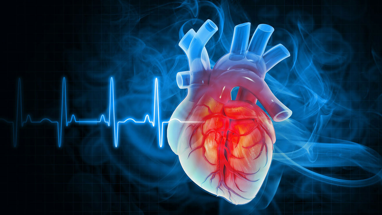 Three-dimensional concept of heart disease with a line showing waves of heart's electrical activity in the background.