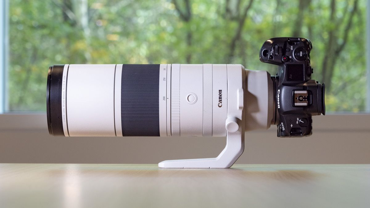 Canon RF 200-800mm F6.3-9 IS USM review: mega reach, decent price