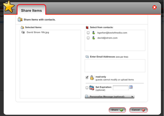 You can share files with anyone via an email message, and set various options here.