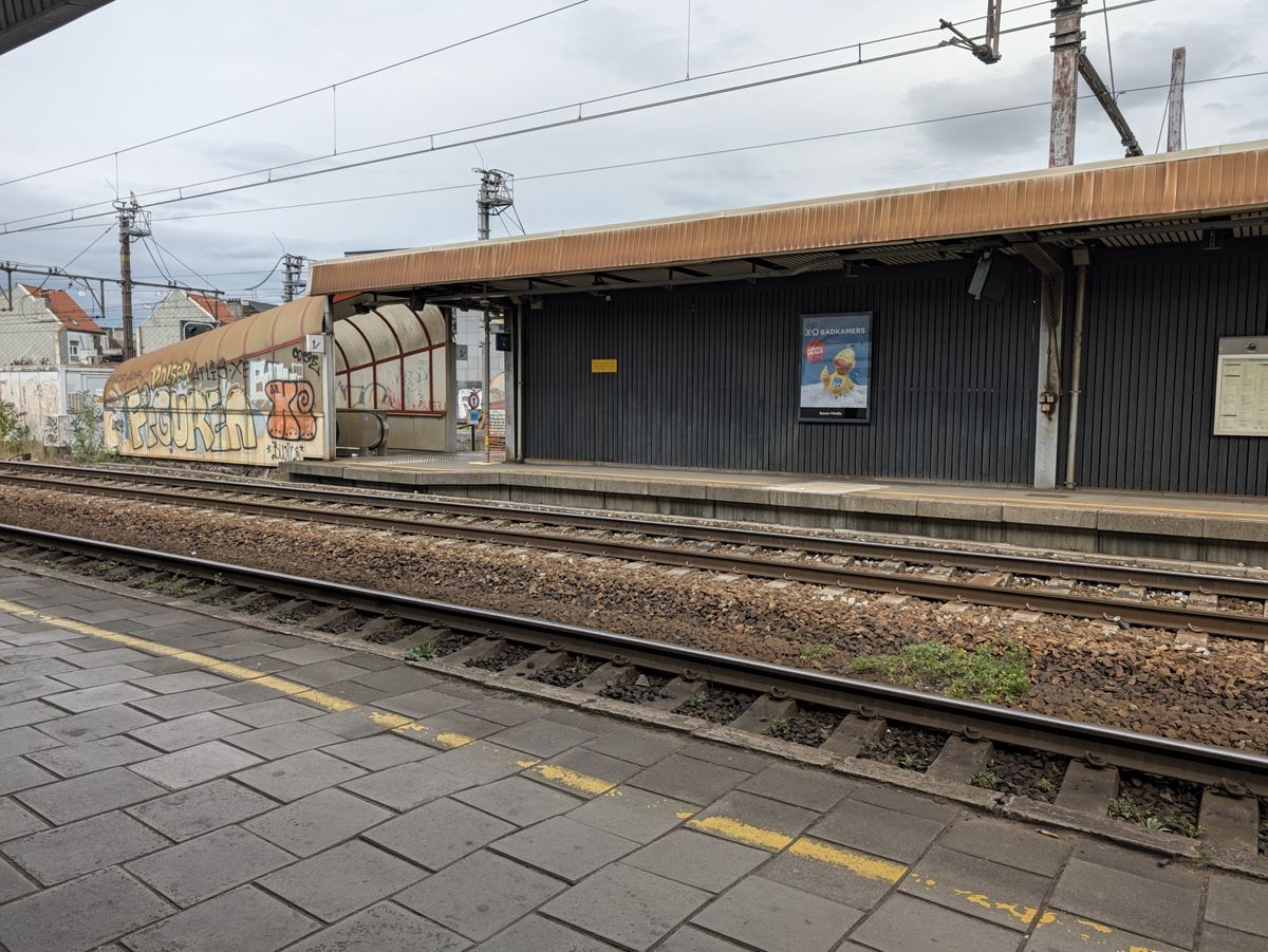 Google Pixel 11 Pro voorbeeldfoto