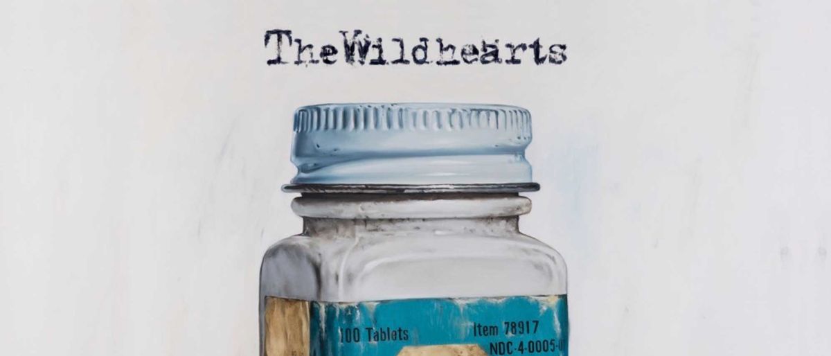 The Wildhearts: Diagnosis