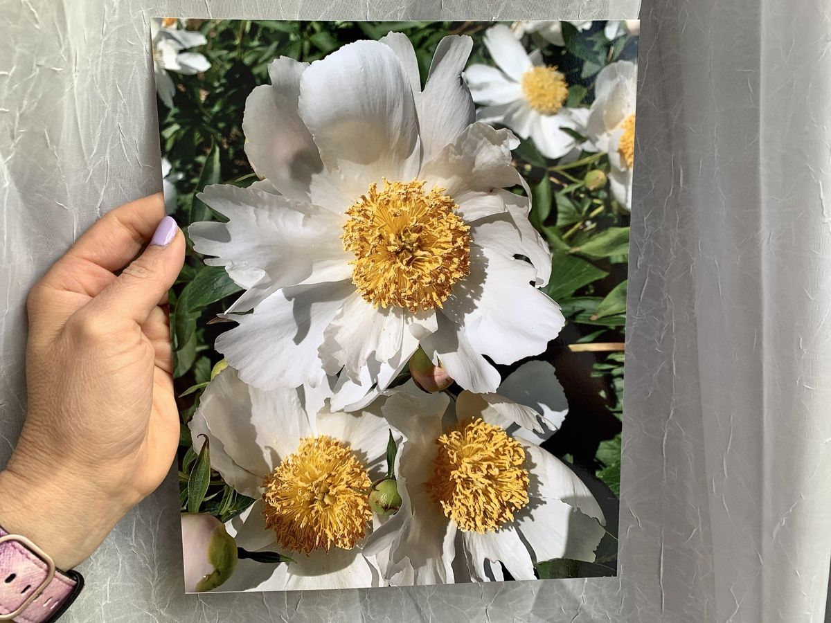 Walgreens Photo Printing
