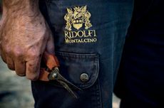 Ridolfi_pruning_hand.jpg