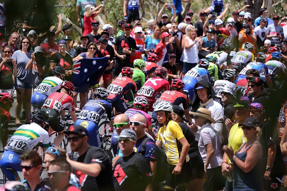 The crowd cheers on the Tour Down Under peloton