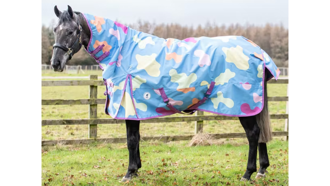 Derby House Funky Cow patterned horse rug