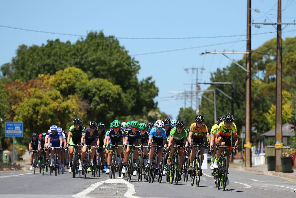 Al&eacute; Cipollini lead the peloton