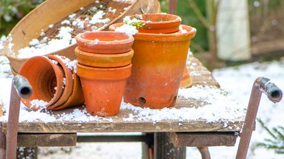 terracotta pots in the snow