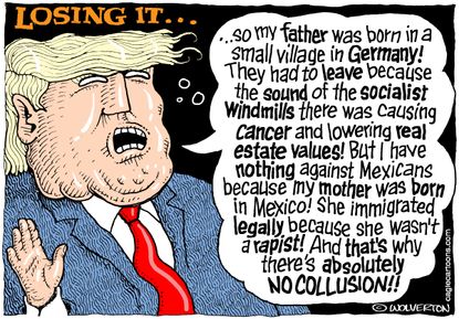 Political Cartoon U.S. Trump family history immigration