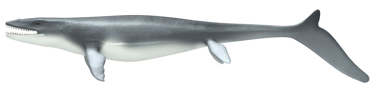 mosasaur reconstruction