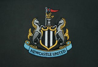 Newcastle United v Norwich City – Premier League – St James’ Park