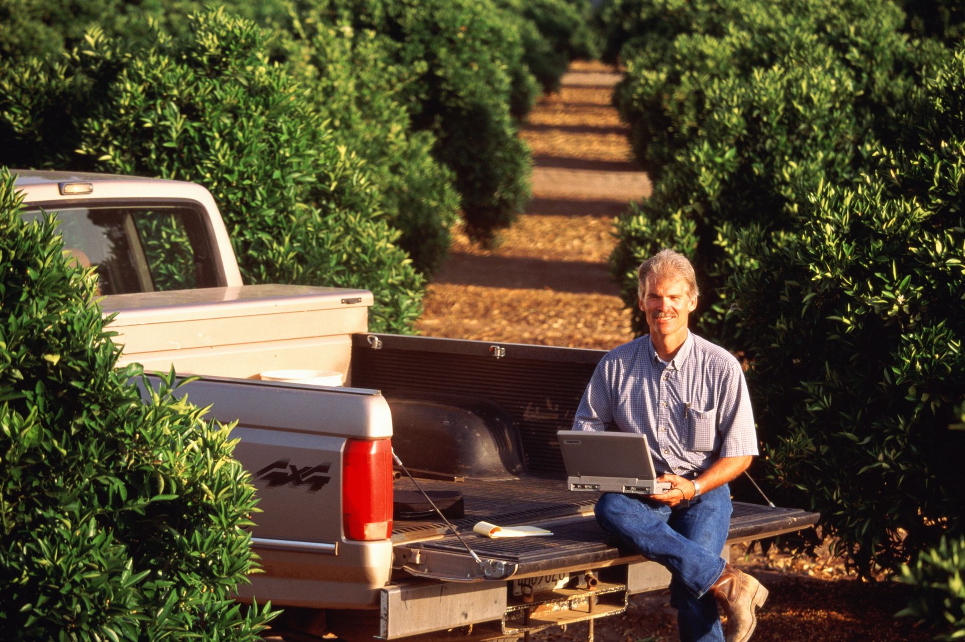 Location: at a citrus grove in Visalia, California, USA