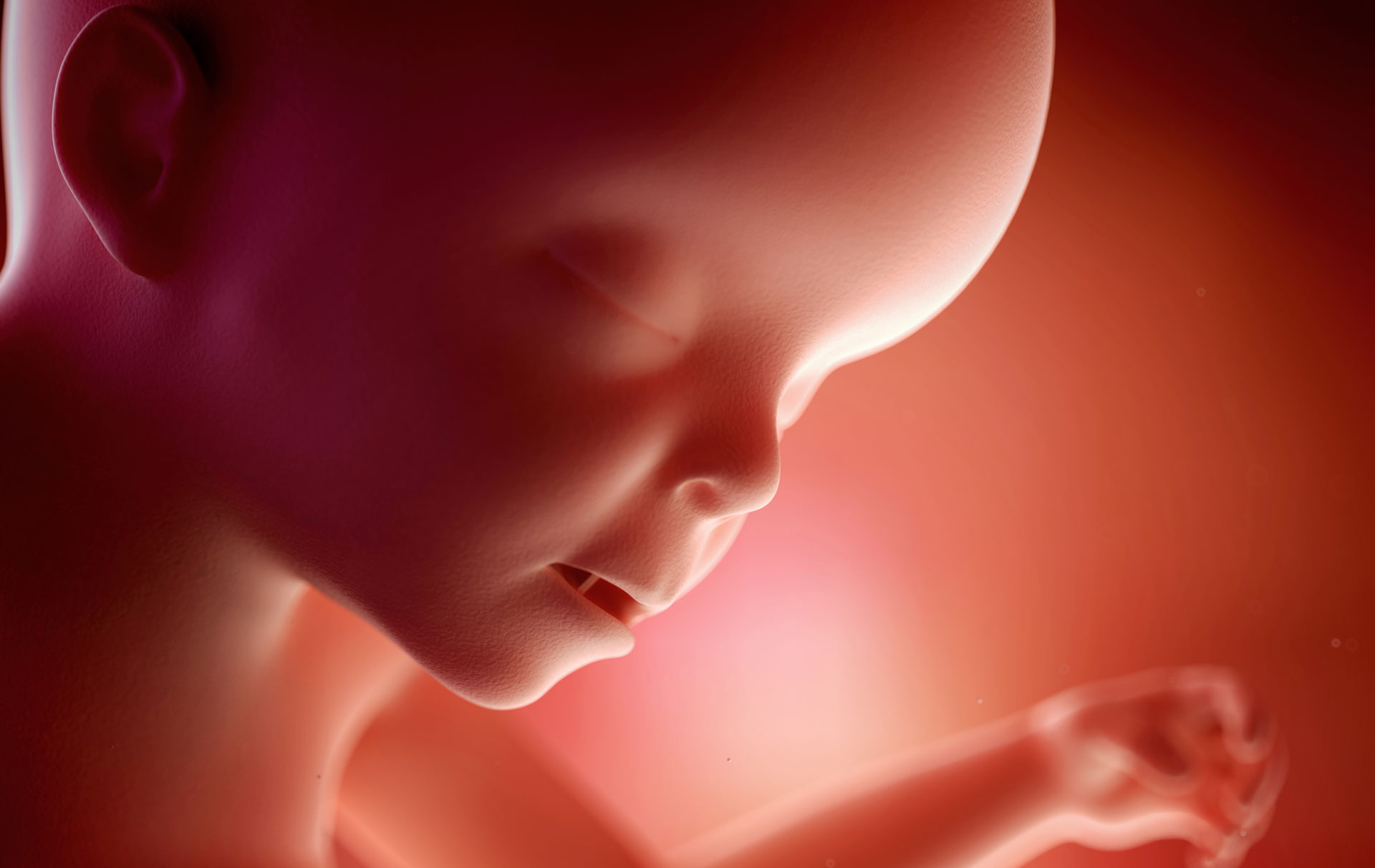 23 weeks pregnant