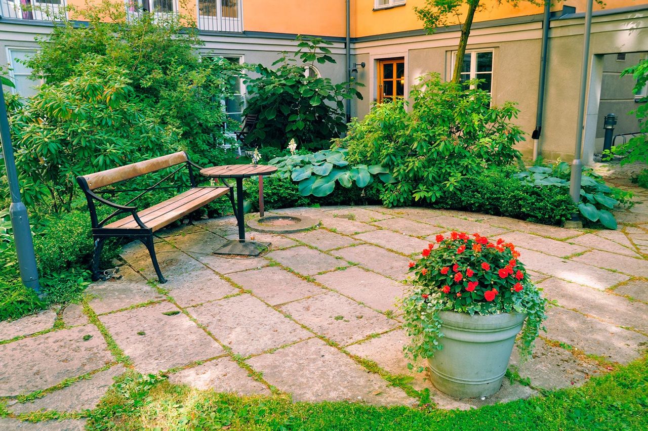 Courtyard Garden Full Of Plants