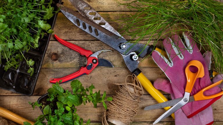 gardening tools including secateurs and shears