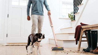 Shark Wandvac in use in hallway to clean mess with dog beside it