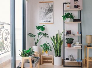 Houseplants next to wooden and black freestanding shelving unit with map wall art