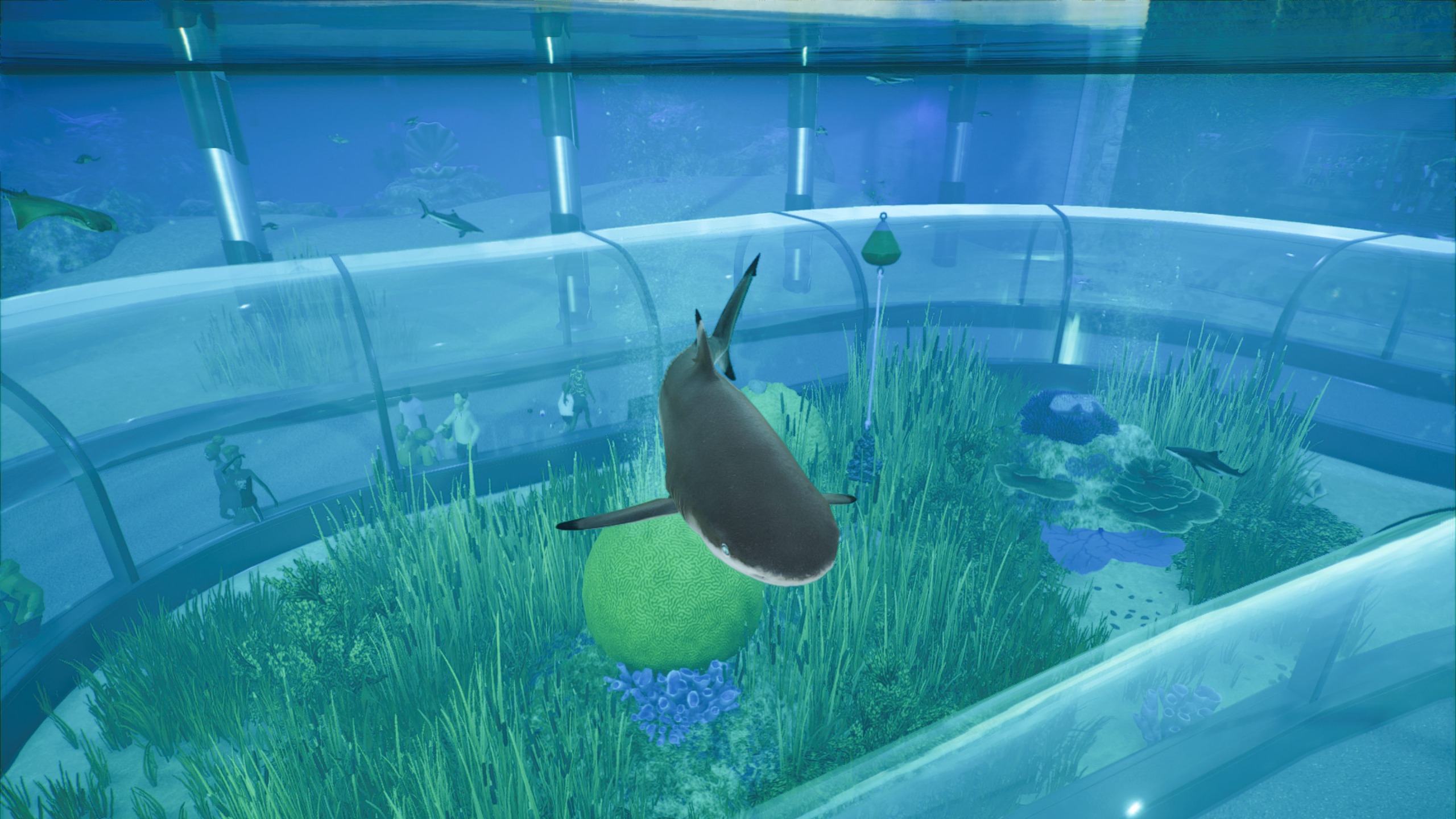 A shark swimming in an aquarium in Planet Zoo 2.