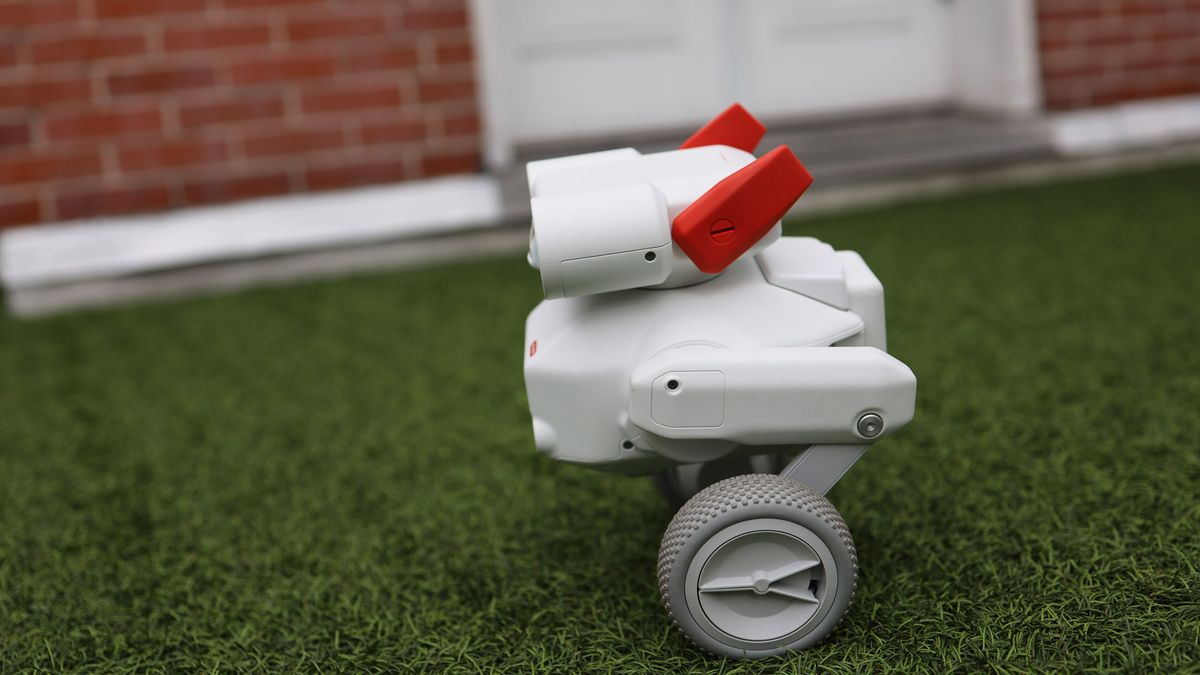 Mondo Beni camera robot