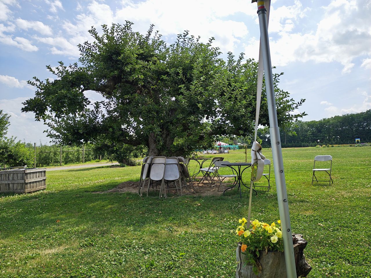 Motorola Razr Plus 2024 main camera sample.
