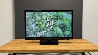 Samsung UE24N4300 TV from front on wooden TV stand showing animals in forest on screen