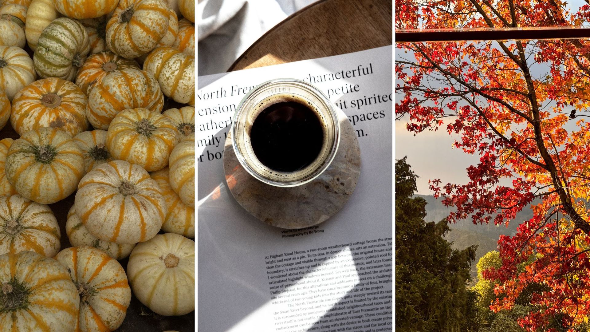 The Autumn Energy Slump Gets Me Every Time—So I Asked Experts How to Feel Less Run Down Without Overhauling My Entire Life