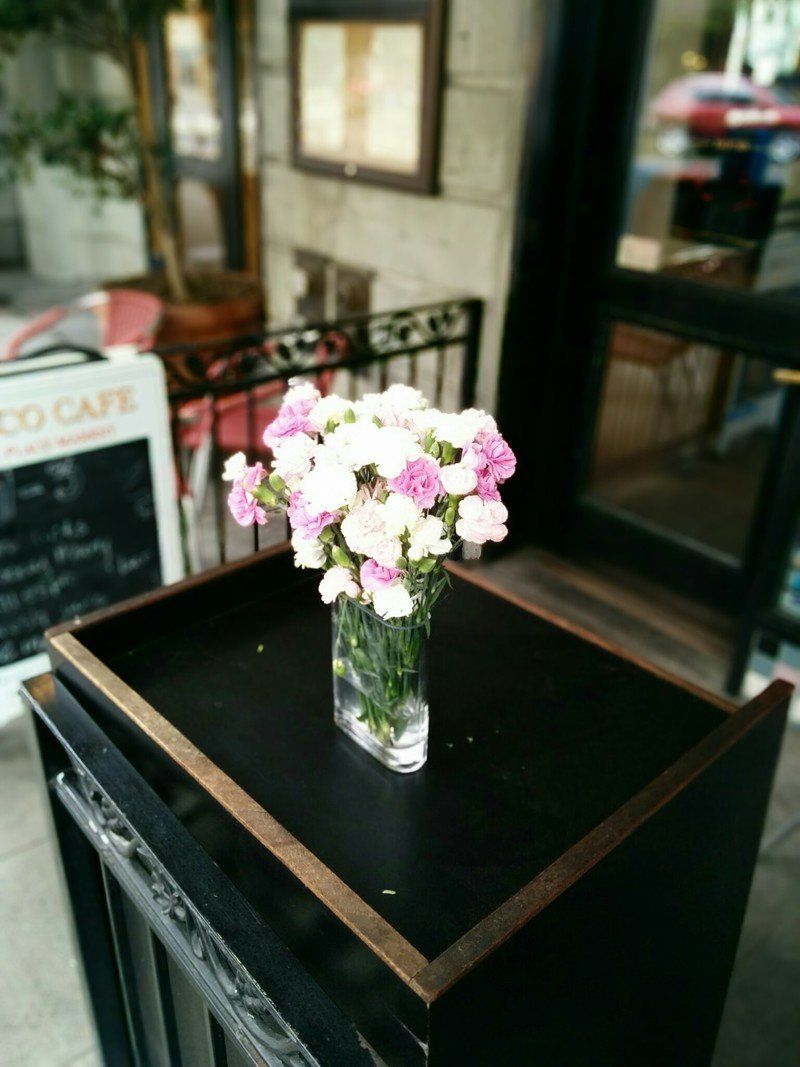 Google Camera Lens Blur picture