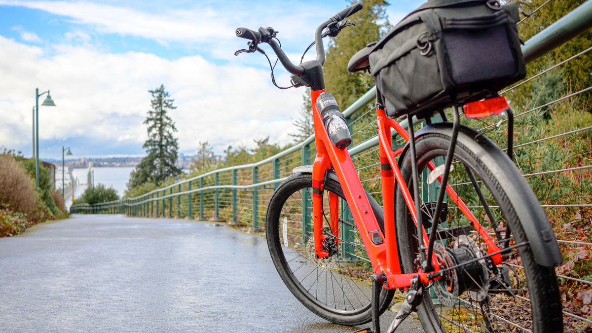 Trek Verve+ 1 LT bike in red on a bridge with a blue sky.