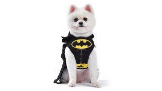 Best halloween dog costumes: DC Comics Batman Dog Costume