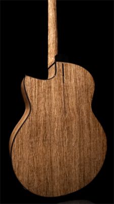 JOI Guitars hemp wood acoustic