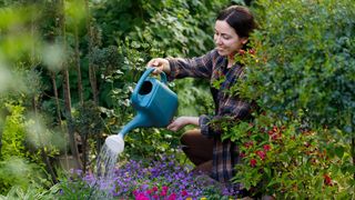 Woman in garden watering flowerbeds