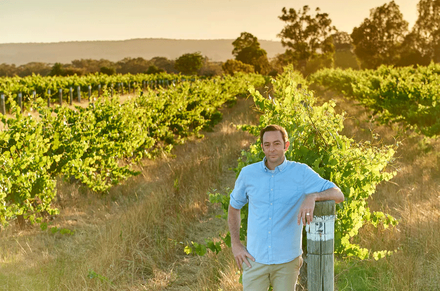 Nikola Estate - Damian Hutton