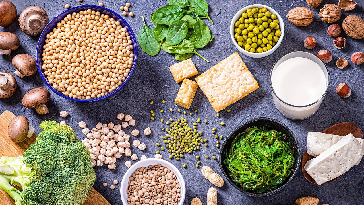 Vegan sources of protein