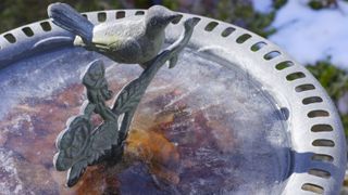 A frozen bird bath