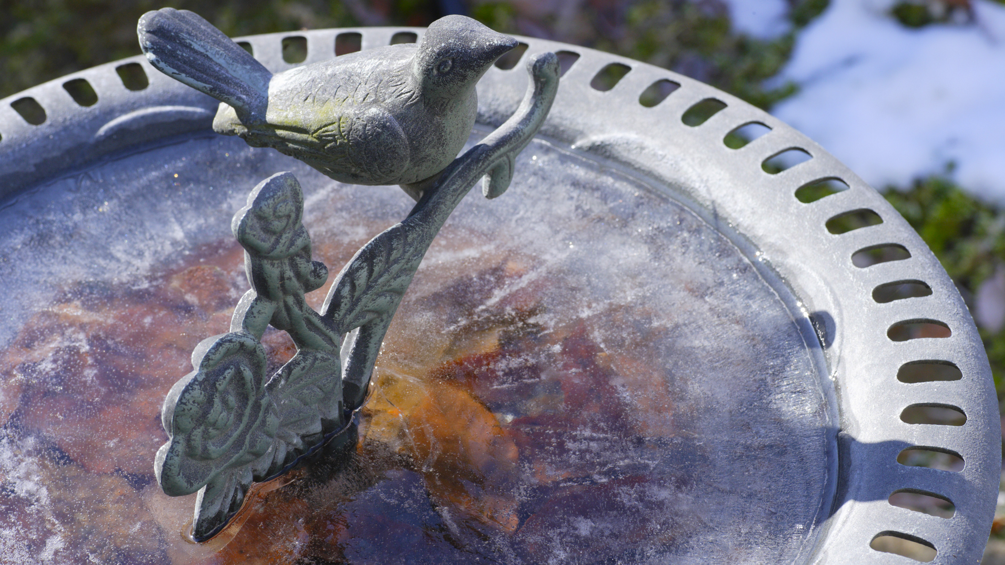 A frozen bird bath