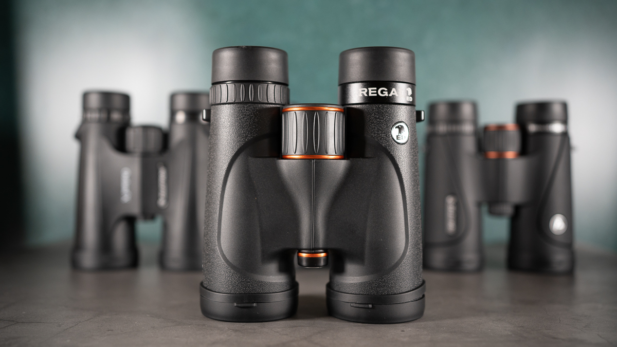 Celestron Regal ED 10x42 binoculars against a dark background