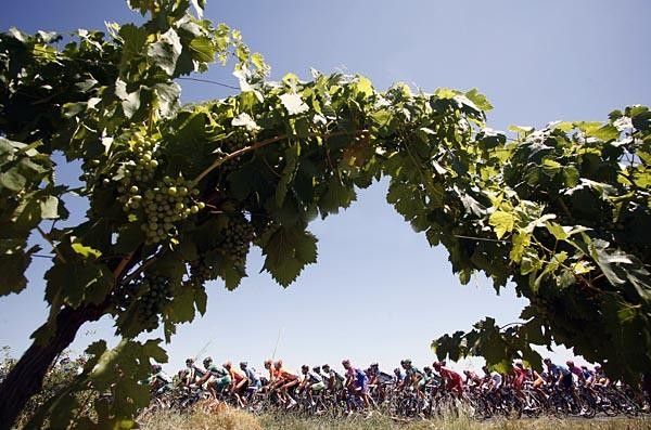 Stage 13 of the Tour de France went through wine country on its way to N&icirc;mes.