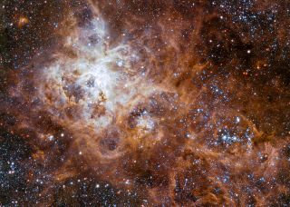 The giant star-forming region in the Large Magellanic Cloud, the Tarantula Nebula.