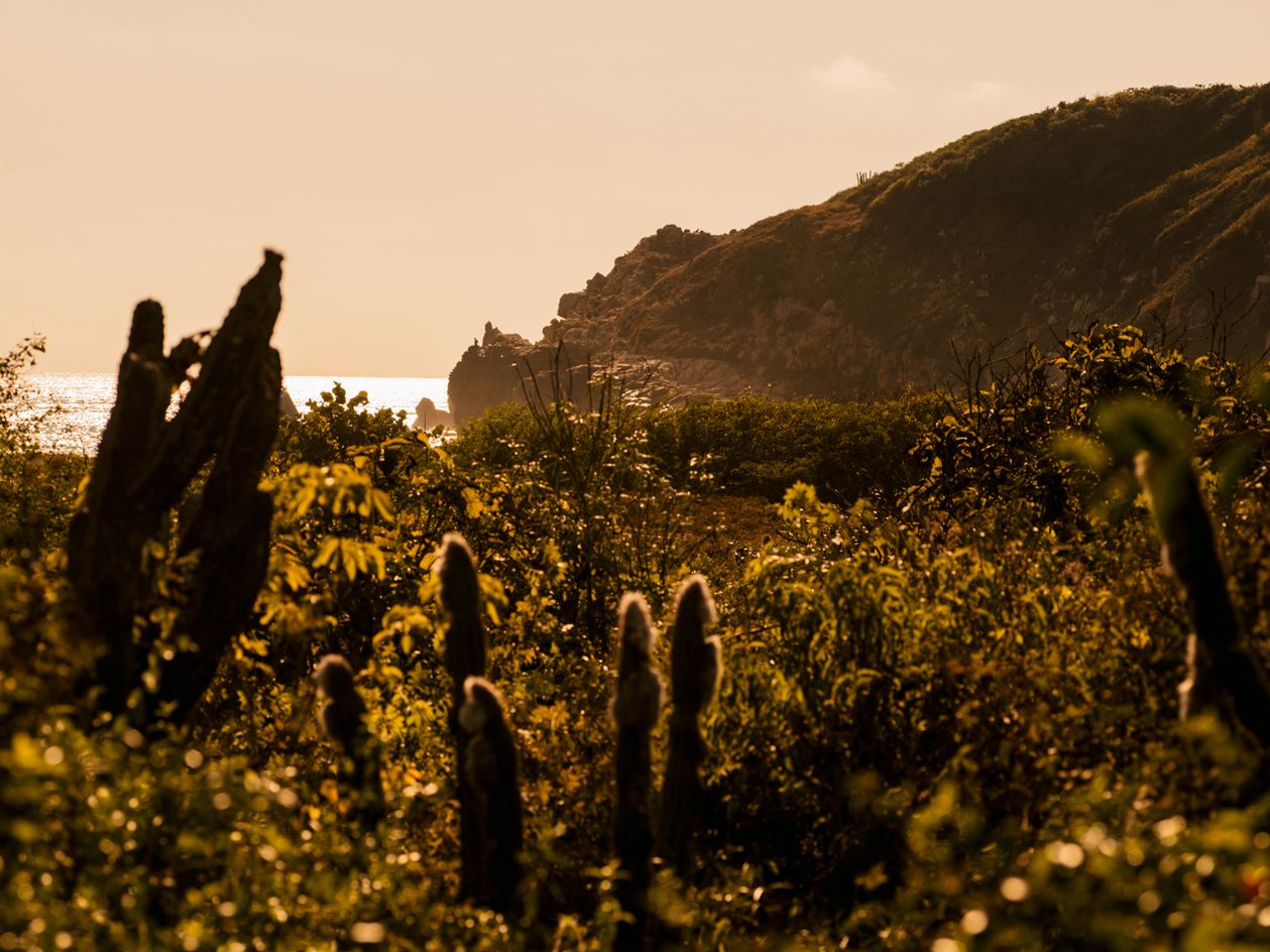 A view of the Puerto Escondido shoreline, north of Casa Wabi