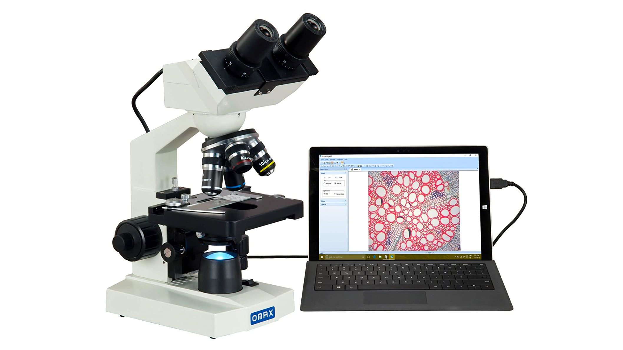AmScope microscope for kids - a microscope with amazing magnification
