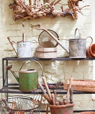 She shed storage ideas, with rustic black metal shelves filled with vintage watering cans and gardening tools.