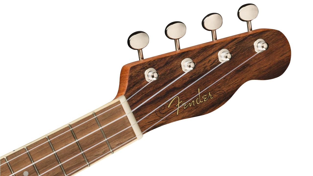 Fender