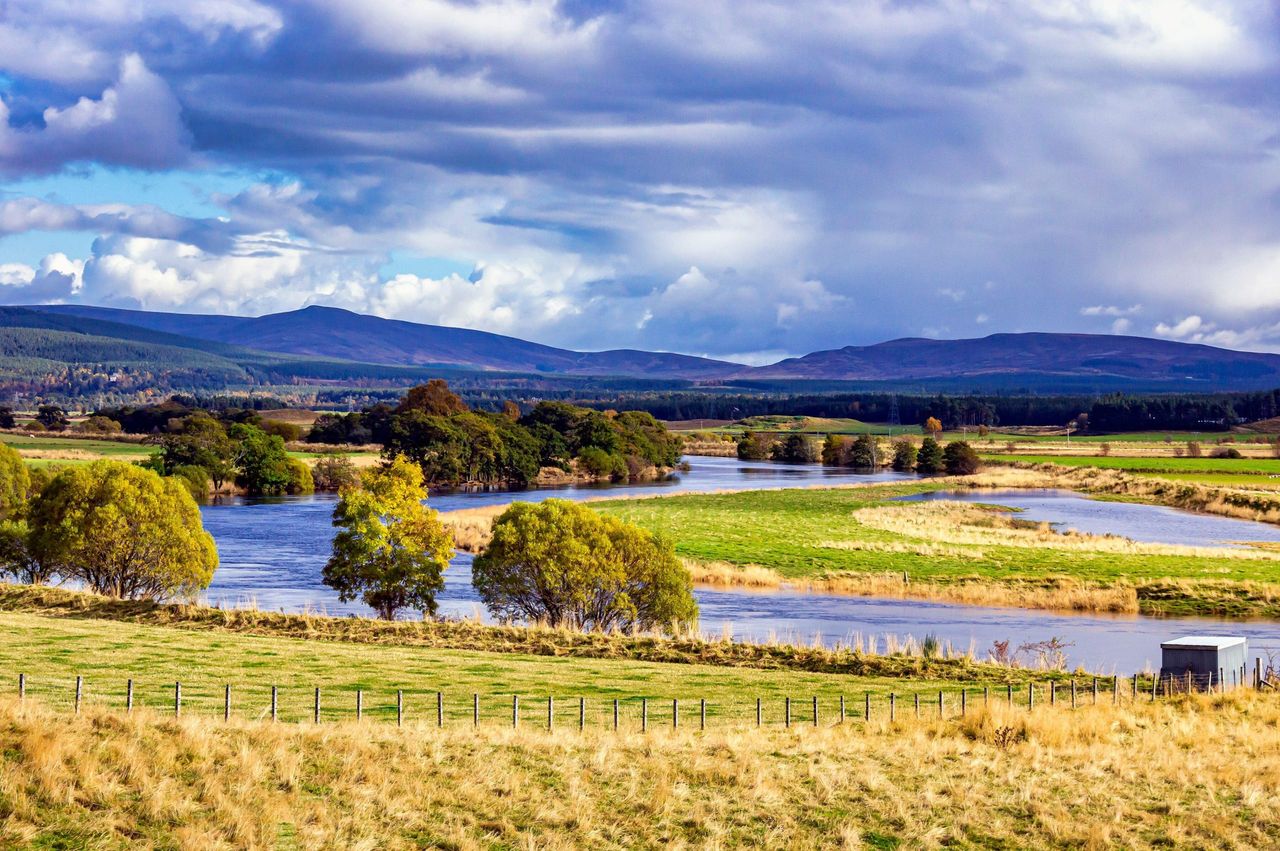 The River Spey between Boat of Garten and Grantown on Spey, the Highlands.