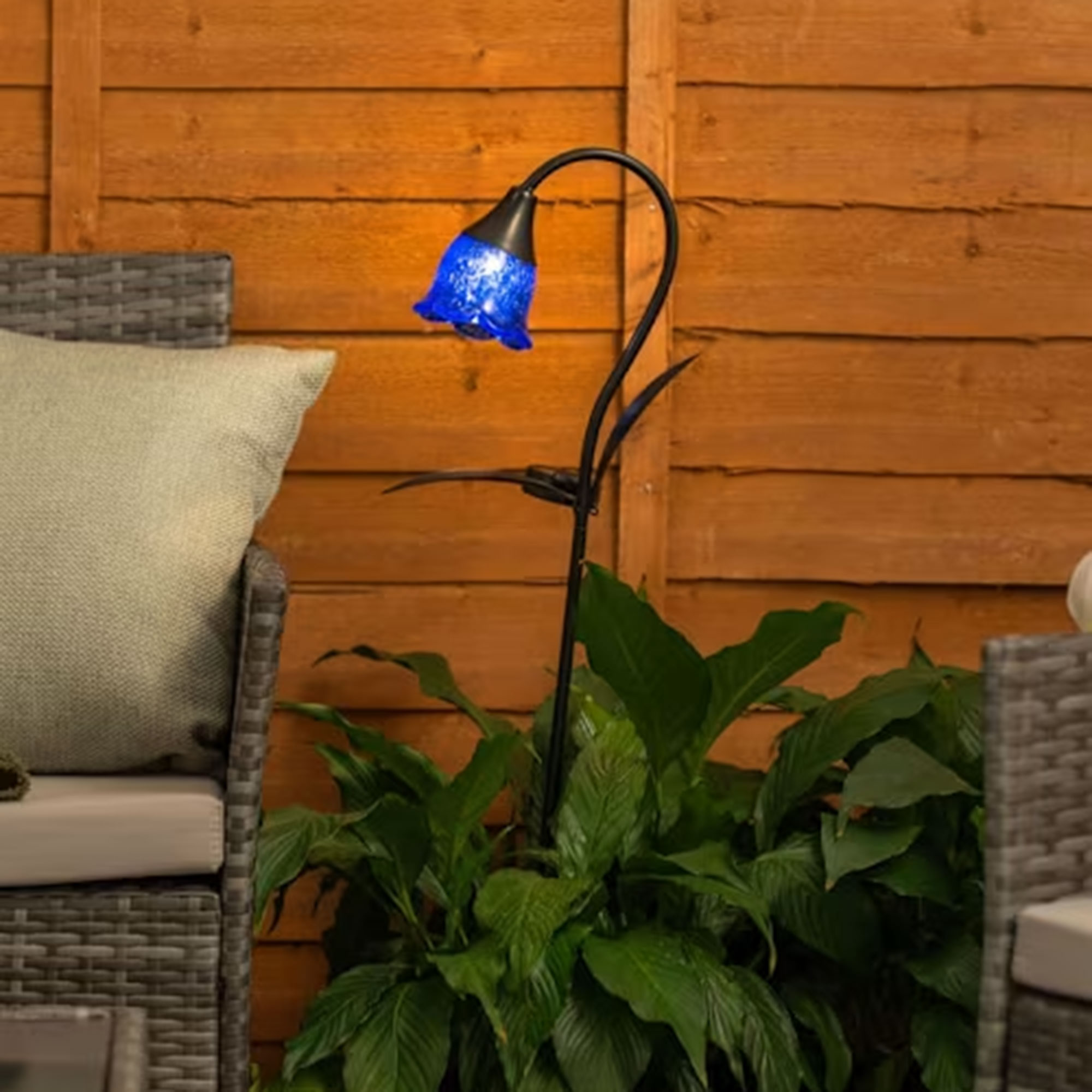 Bluebell garden light