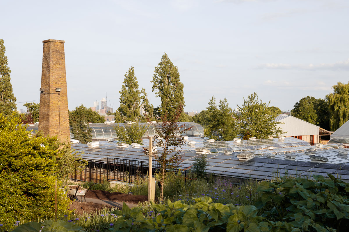 Wolves Lane Centre, a community space in a leafy garden made of wood, earth and other natural and sustainable materials