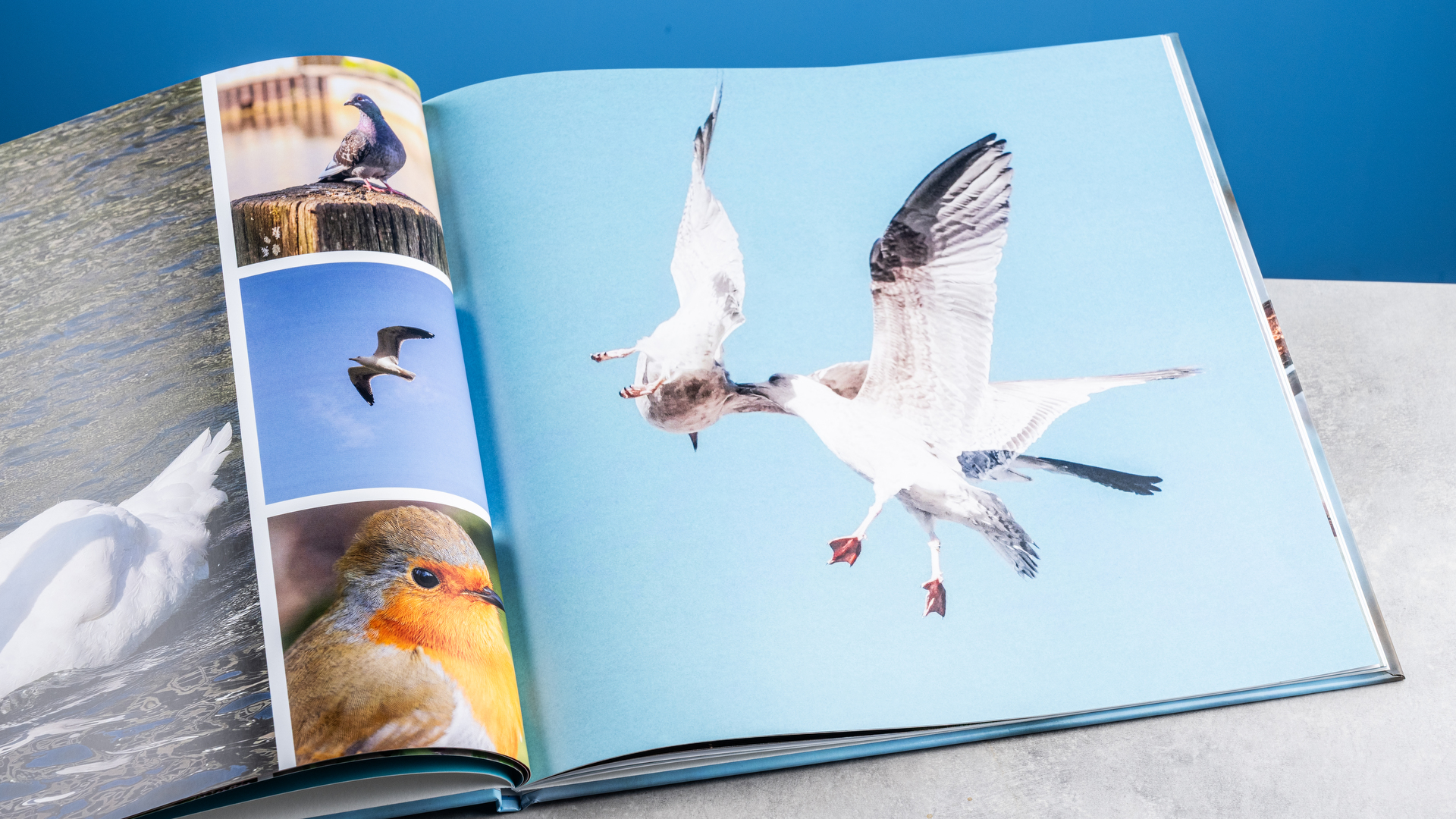Vistaprint photo book pages photographed on a table in front of a blue background