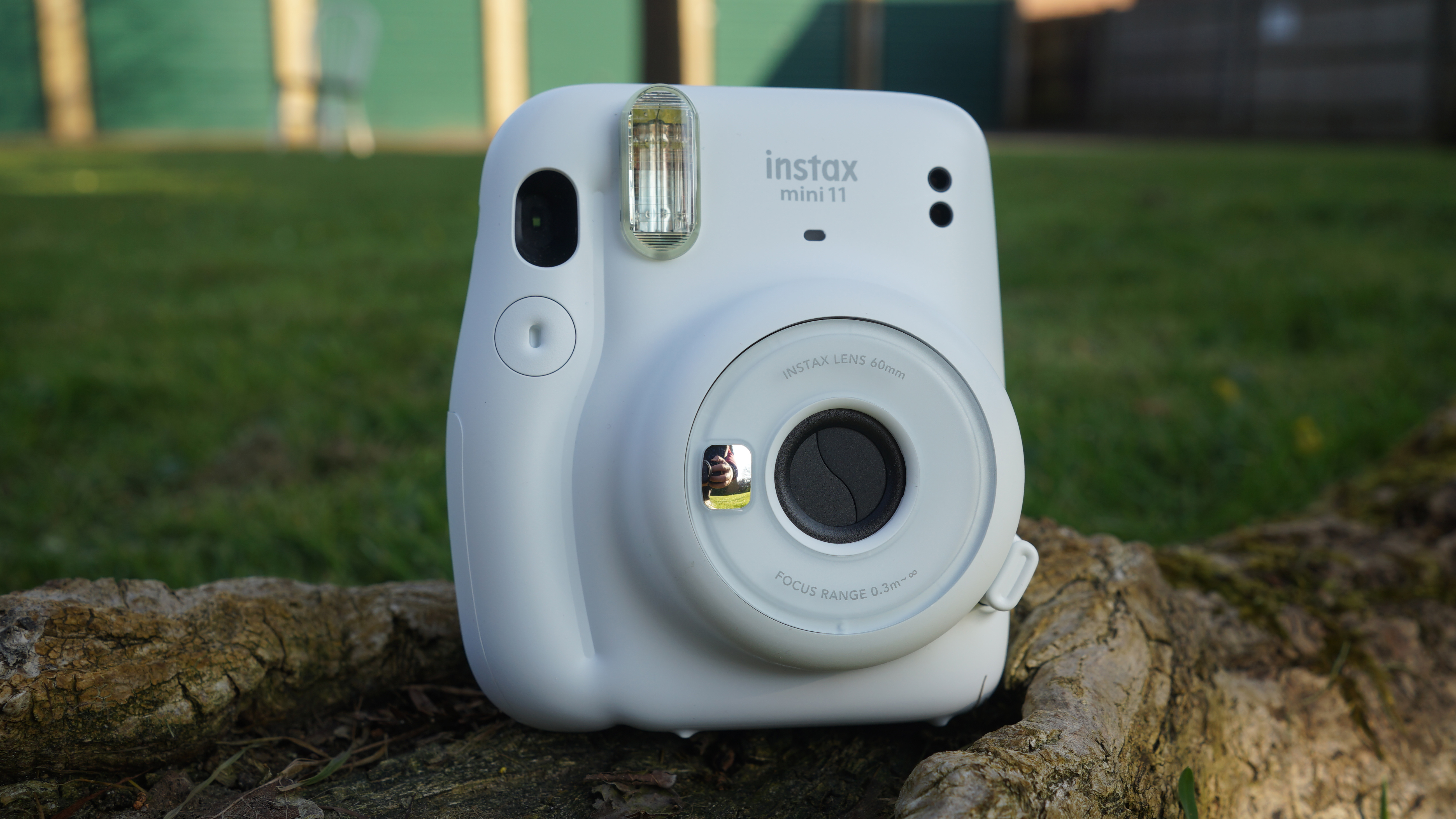 The Fujifilm Instax Mini 11, the best instant camera you can buy, sat on a tree branch